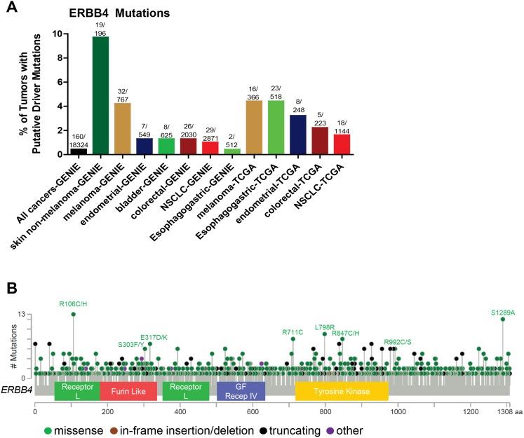 https://cdn.ncbi.nlm.nih.gov/pmc/blobs/69ab/5768410/e1c5d677af2c/oncotarget-08-114371-g005.jpg