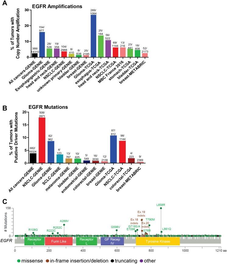 https://cdn.ncbi.nlm.nih.gov/pmc/blobs/69ab/5768410/f5ca3e7b9c7d/oncotarget-08-114371-g002.jpg