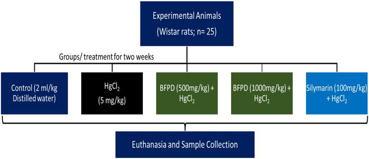 https://cdn.ncbi.nlm.nih.gov/pmc/blobs/69ac/11027370/0ae8fa70f179/42826_2024_203_Fig1_HTML.jpg