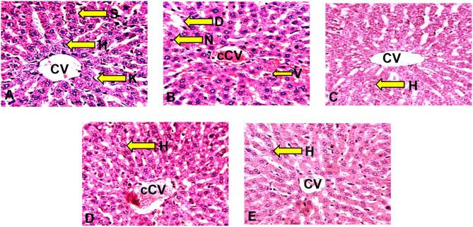 https://cdn.ncbi.nlm.nih.gov/pmc/blobs/69ac/11027370/43cf1ec1dfab/42826_2024_203_Fig3_HTML.jpg