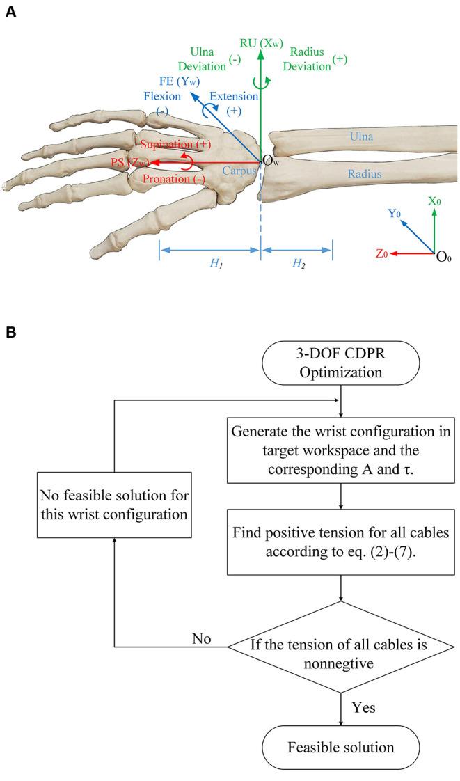https://cdn.ncbi.nlm.nih.gov/pmc/blobs/69ac/8060699/d3797882fc1c/fnbot-15-664062-g0005.jpg