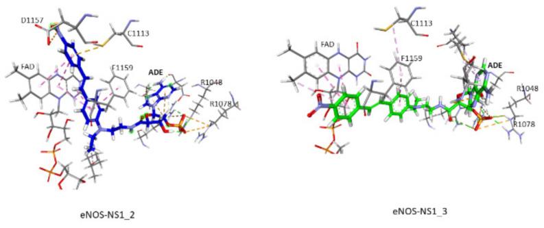 https://cdn.ncbi.nlm.nih.gov/pmc/blobs/69ae/8148004/4d0de167d128/antioxidants-10-00723-g009.jpg