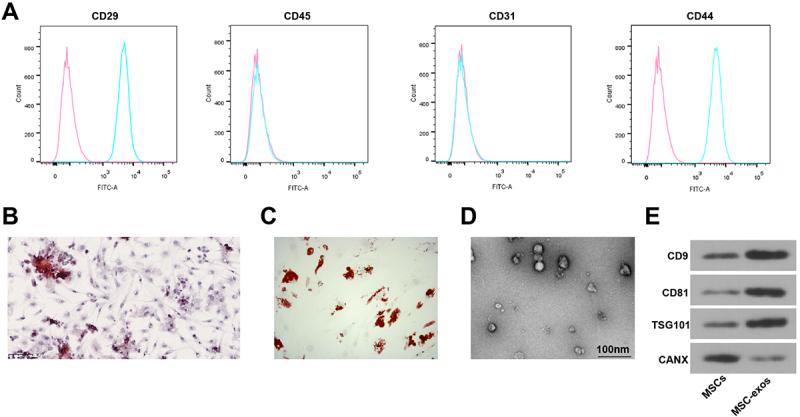 https://cdn.ncbi.nlm.nih.gov/pmc/blobs/69af/12036478/90c756451b48/KOGG_A_2489673_F0001_OC.jpg