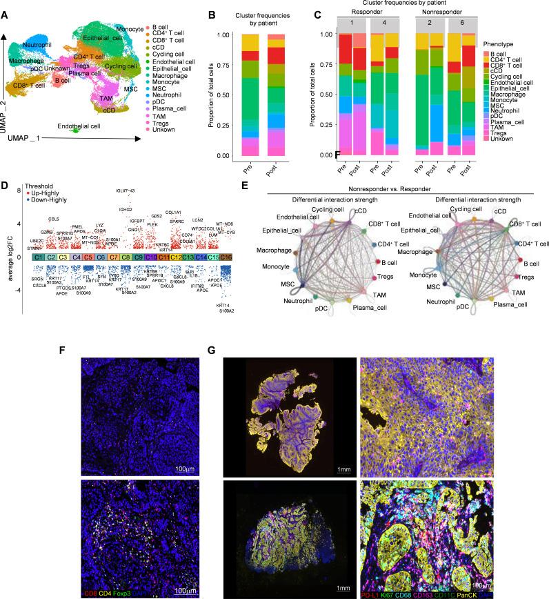 https://cdn.ncbi.nlm.nih.gov/pmc/blobs/69b0/12161328/21b7c6761579/jitc-13-6-g006.jpg