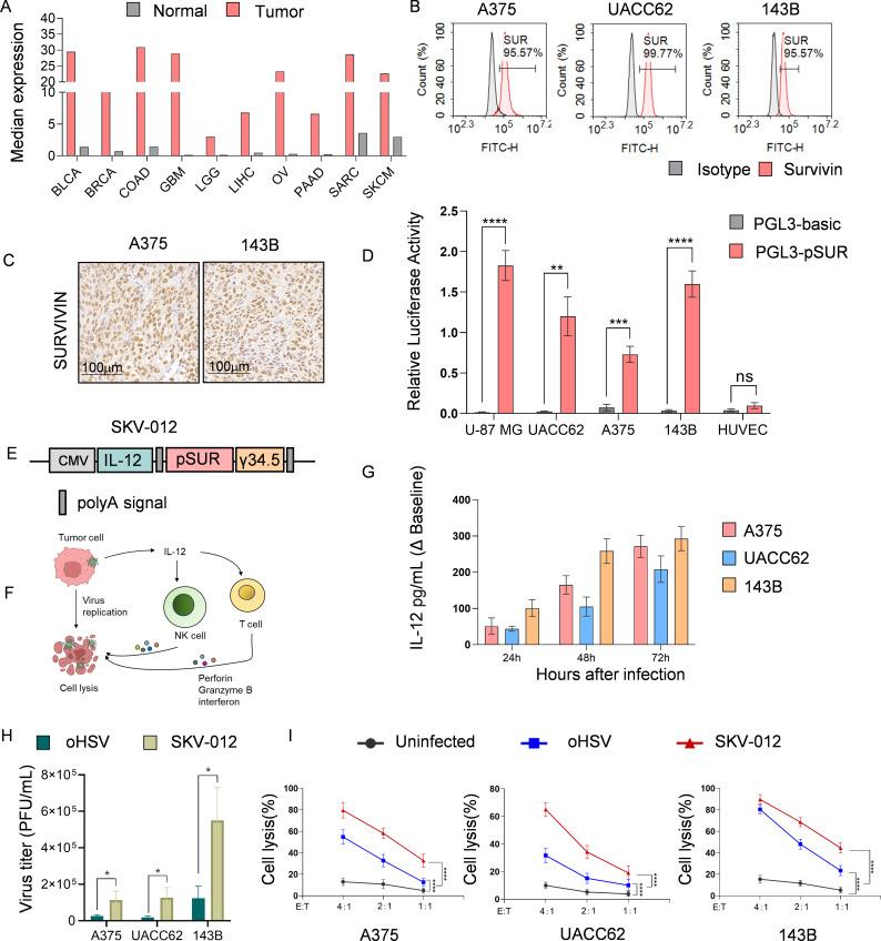 https://cdn.ncbi.nlm.nih.gov/pmc/blobs/69b0/12161328/8ba6ff66aadf/jitc-13-6-g003.jpg