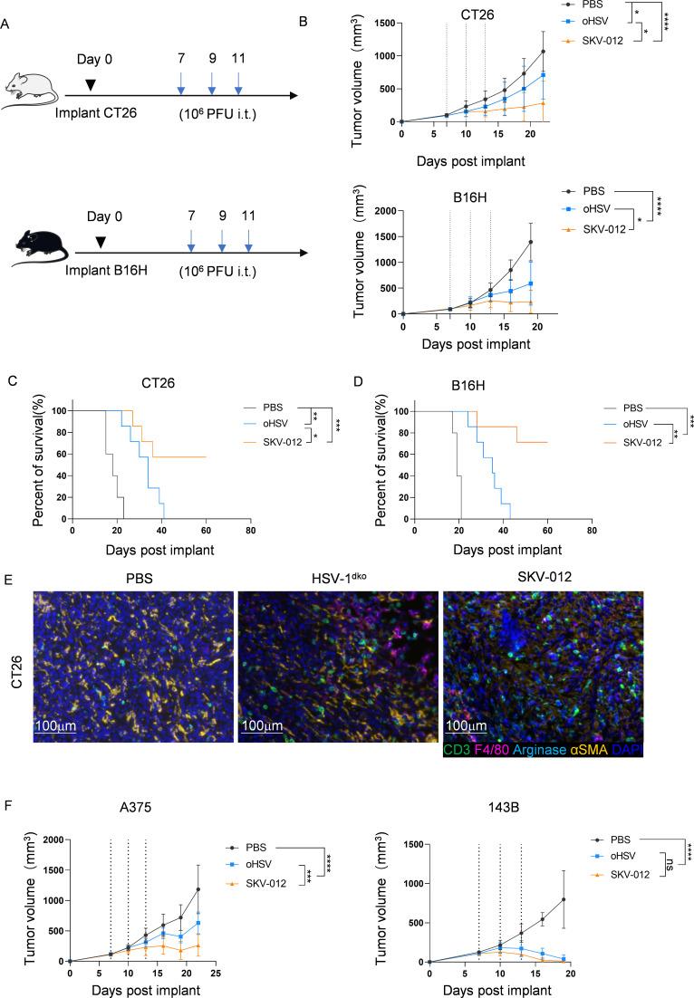 https://cdn.ncbi.nlm.nih.gov/pmc/blobs/69b0/12161328/a19e6f99e8a7/jitc-13-6-g004.jpg