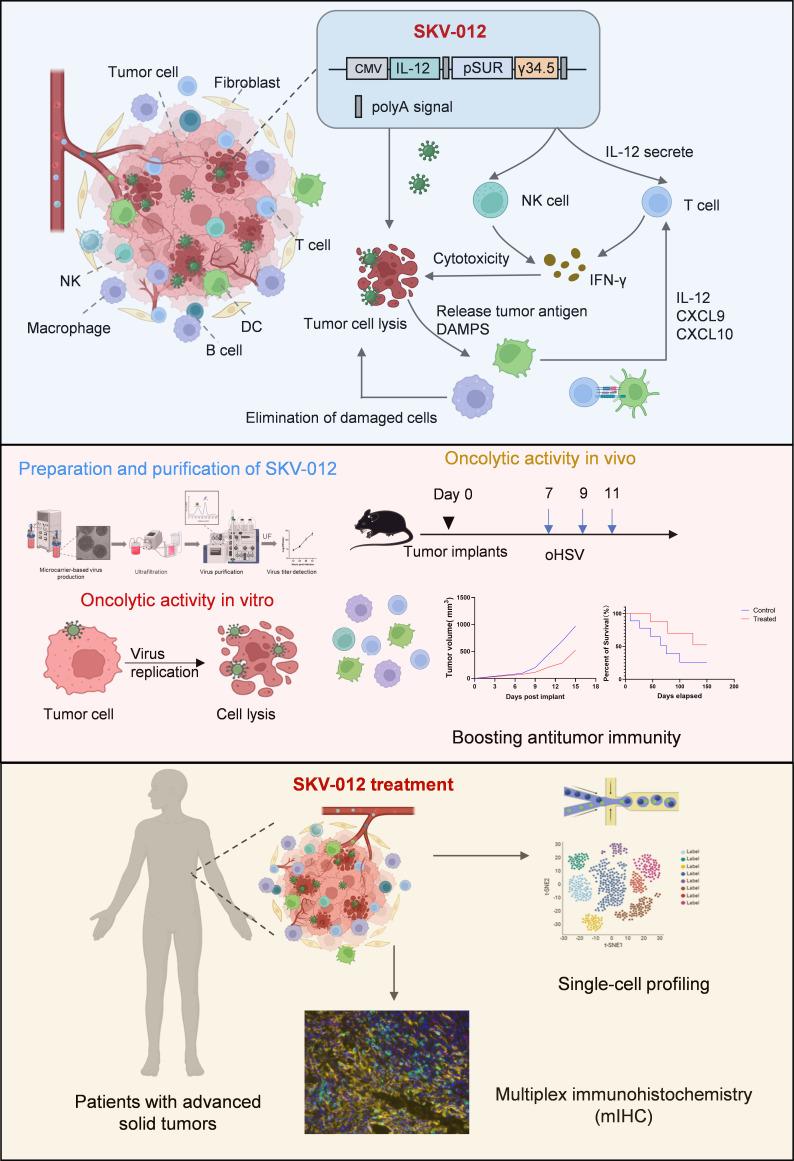 https://cdn.ncbi.nlm.nih.gov/pmc/blobs/69b0/12161328/d7ca9b15956e/jitc-13-6-g001.jpg