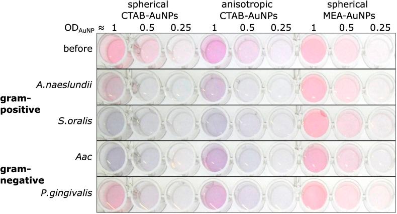 https://cdn.ncbi.nlm.nih.gov/pmc/blobs/69b2/10898432/904e13a8ca2c/d3na00477e-f4.jpg