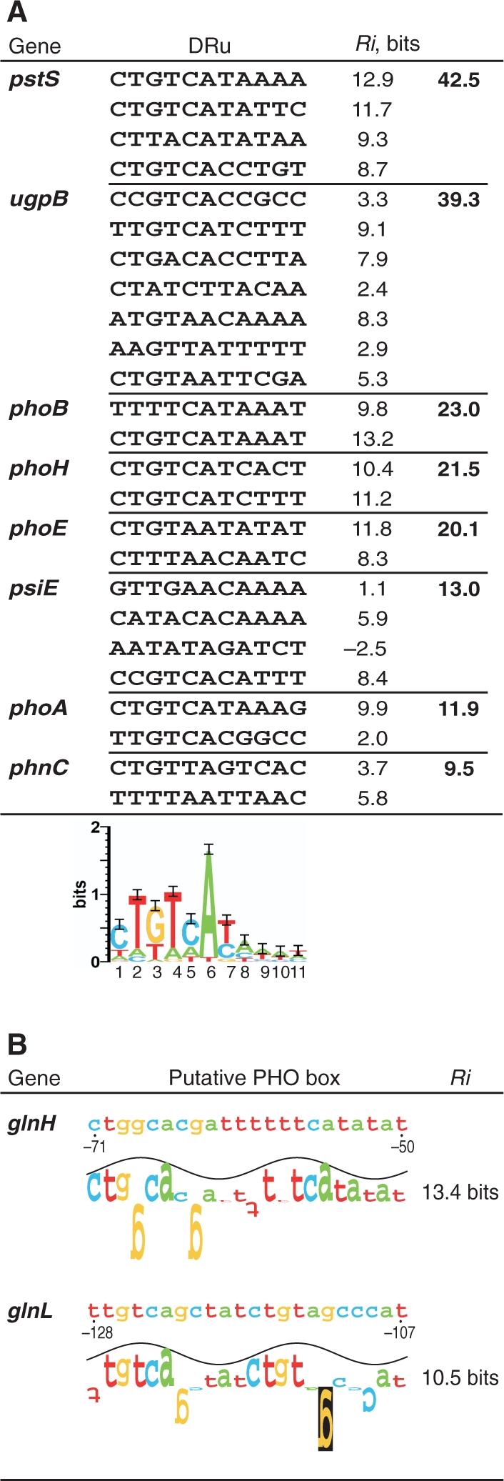 https://cdn.ncbi.nlm.nih.gov/pmc/blobs/69b2/2691820/8f857958feba/gkp162f5.jpg