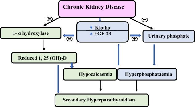 https://cdn.ncbi.nlm.nih.gov/pmc/blobs/69b3/8325650/c4f7df548a37/12020_2021_2735_Fig1_HTML.jpg