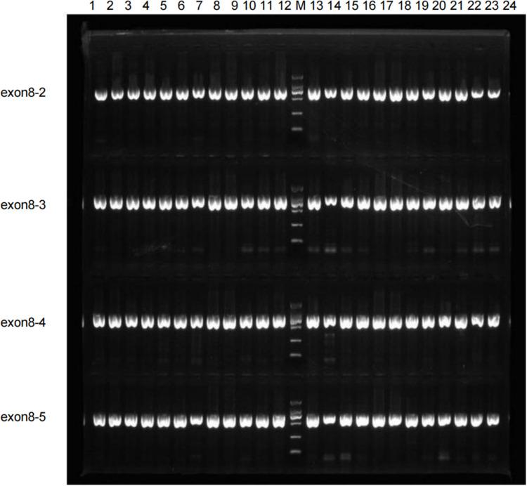 https://cdn.ncbi.nlm.nih.gov/pmc/blobs/69b4/12404207/4debad2b4f07/NDT-21-1823-g0001.jpg