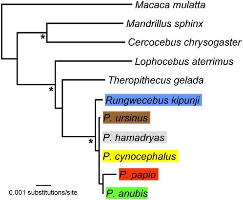 https://cdn.ncbi.nlm.nih.gov/pmc/blobs/69b4/2654078/5285f1b85c55/pone.0004859.g003.jpg