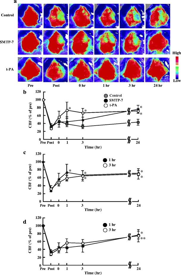 https://cdn.ncbi.nlm.nih.gov/pmc/blobs/69b4/2926440/62b0dd6fcfd2/210_2010_542_Fig6_HTML.jpg