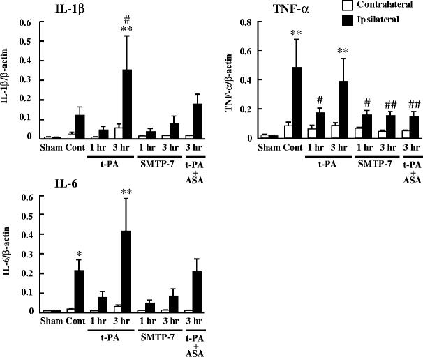 https://cdn.ncbi.nlm.nih.gov/pmc/blobs/69b4/2926440/6e6febef6909/210_2010_542_Fig7_HTML.jpg