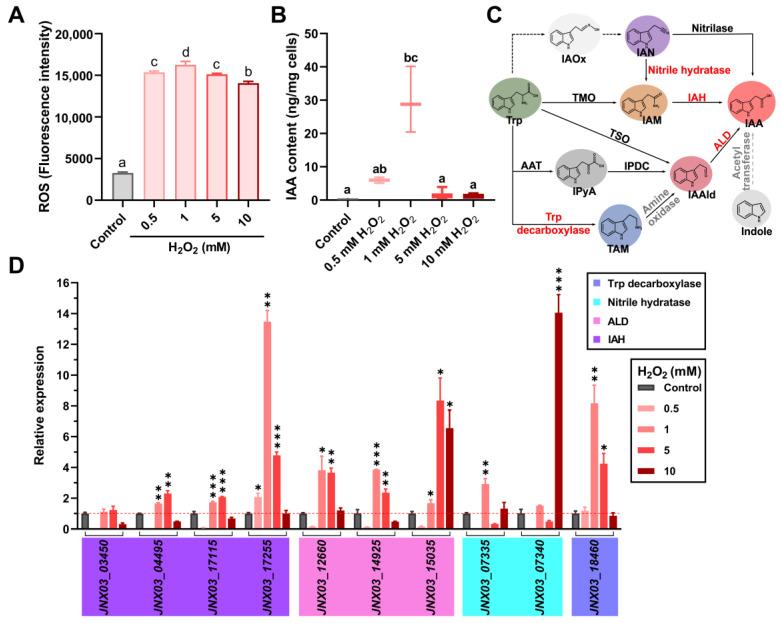https://cdn.ncbi.nlm.nih.gov/pmc/blobs/69bc/12114110/28c5d4bb5b1d/microorganisms-13-01014-g001.jpg