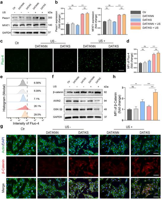 https://cdn.ncbi.nlm.nih.gov/pmc/blobs/69be/12279238/6ba7efb06448/ADVS-12-2504293-g007.jpg