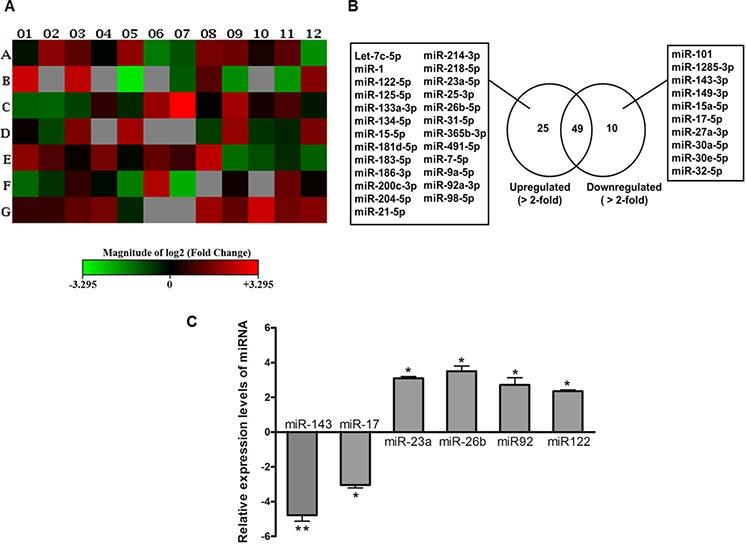 https://cdn.ncbi.nlm.nih.gov/pmc/blobs/69be/4741500/e78aff53a8a5/oncotarget-06-34941-g001.jpg
