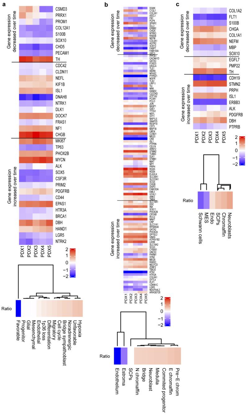 https://cdn.ncbi.nlm.nih.gov/pmc/blobs/69c0/9866967/c019e9a5bc8f/ijms-24-01590-g003.jpg
