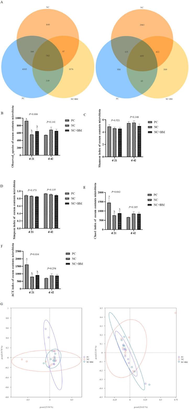https://cdn.ncbi.nlm.nih.gov/pmc/blobs/69c3/11067779/1257783999ea/gr6.jpg