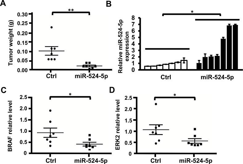 https://cdn.ncbi.nlm.nih.gov/pmc/blobs/69c3/4253445/d7f097e10988/oncotarget-05-9444-g007.jpg