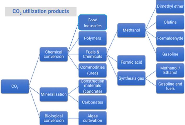 https://cdn.ncbi.nlm.nih.gov/pmc/blobs/69c3/9274640/b03054442452/10098_2022_2359_Fig4_HTML.jpg
