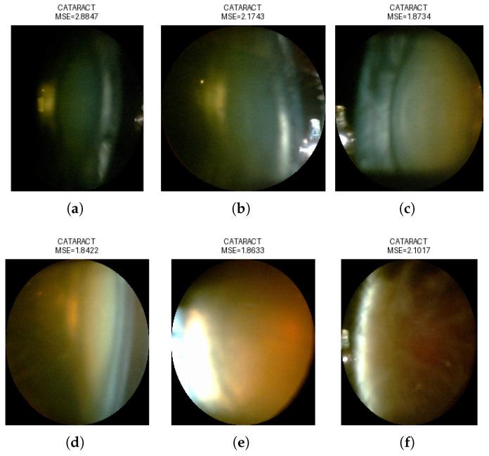 https://cdn.ncbi.nlm.nih.gov/pmc/blobs/69c4/12252290/3d241f6fd2ae/sensors-25-03954-g008.jpg