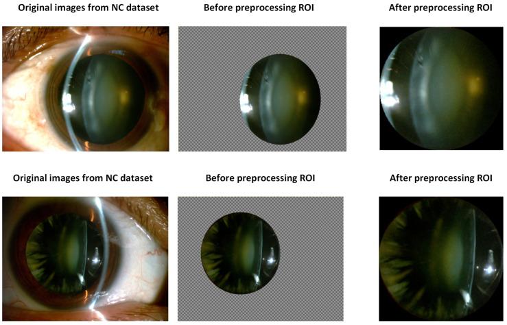 https://cdn.ncbi.nlm.nih.gov/pmc/blobs/69c4/12252290/4f14266c5317/sensors-25-03954-g002.jpg