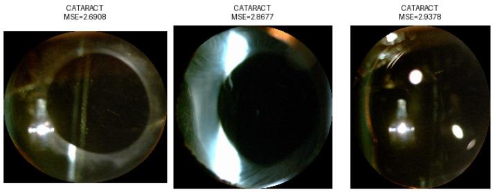 https://cdn.ncbi.nlm.nih.gov/pmc/blobs/69c4/12252290/e2e9bc6e112b/sensors-25-03954-g006.jpg