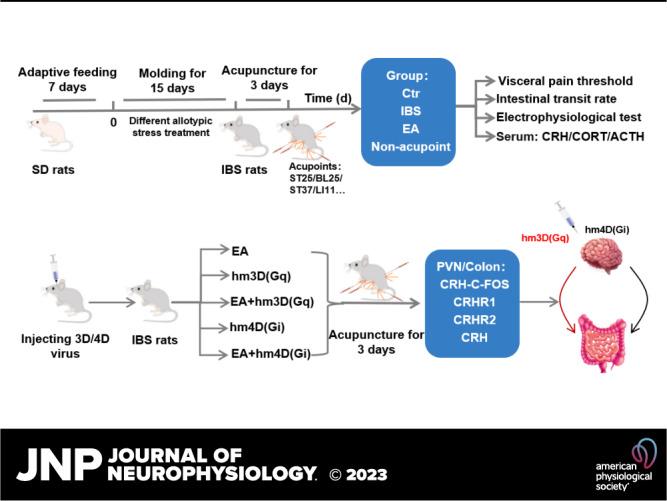 https://cdn.ncbi.nlm.nih.gov/pmc/blobs/69c6/10625839/c39df8410064/jn-00156-2023r01.jpg