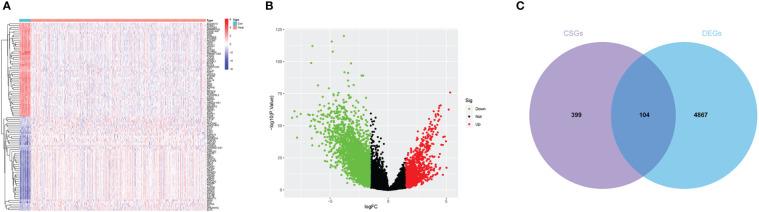 https://cdn.ncbi.nlm.nih.gov/pmc/blobs/69c6/11236550/158fe9ccf22b/fimmu-15-1418508-g002.jpg