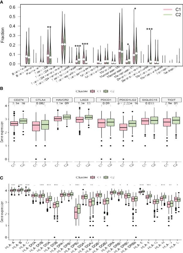 https://cdn.ncbi.nlm.nih.gov/pmc/blobs/69c6/11236550/222272a0f29d/fimmu-15-1418508-g004.jpg