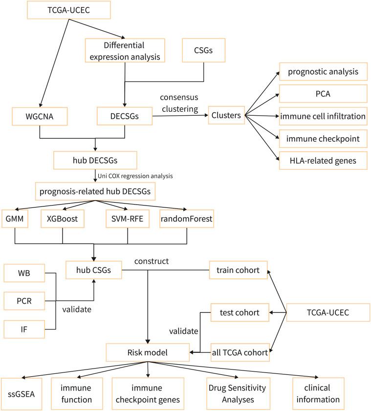 https://cdn.ncbi.nlm.nih.gov/pmc/blobs/69c6/11236550/4c390cd4cf2e/fimmu-15-1418508-g001.jpg