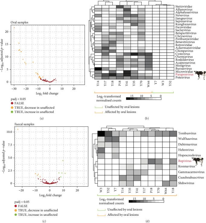 https://cdn.ncbi.nlm.nih.gov/pmc/blobs/69c6/12321419/821d950d5479/TBED2025-7737989.005.jpg