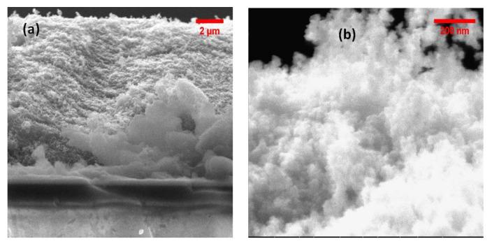 https://cdn.ncbi.nlm.nih.gov/pmc/blobs/69c7/11767985/180c1bff981d/nanomaterials-15-00099-g006.jpg