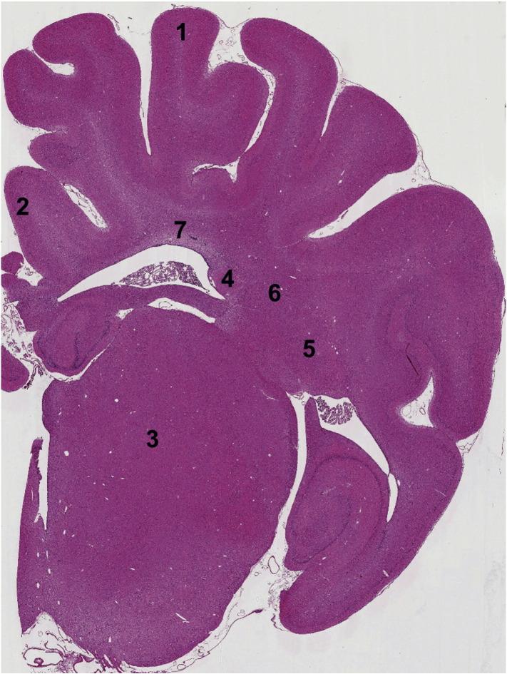 https://cdn.ncbi.nlm.nih.gov/pmc/blobs/69c8/4731014/929536e4a531/gr3.jpg