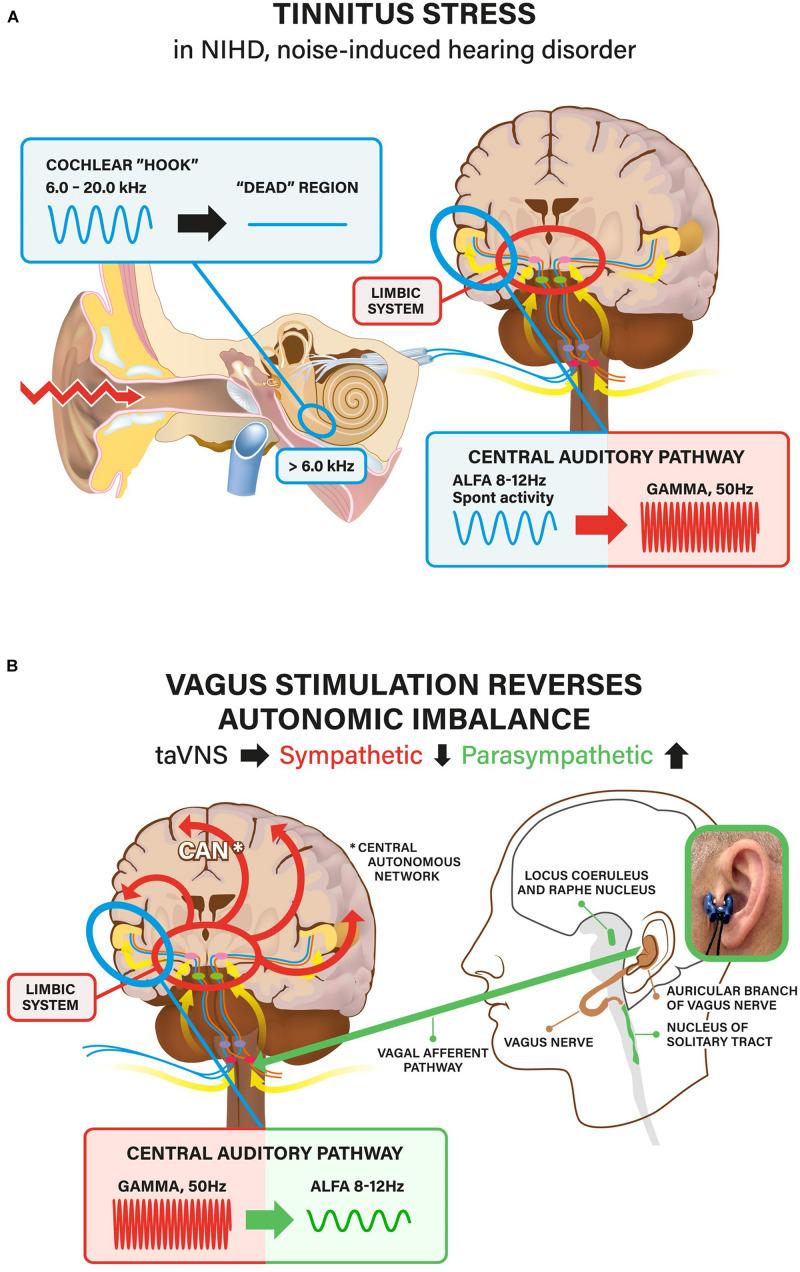 https://cdn.ncbi.nlm.nih.gov/pmc/blobs/69c8/7527536/d601abd62896/fpsyg-11-570196-g006.jpg