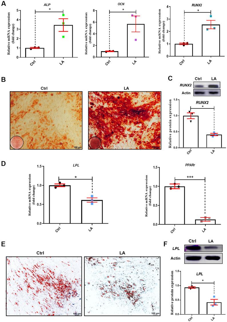 https://cdn.ncbi.nlm.nih.gov/pmc/blobs/69c8/8714166/360da4fe56ad/aging-13-203734-g002.jpg