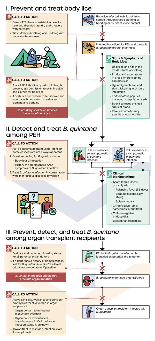 https://cdn.ncbi.nlm.nih.gov/pmc/blobs/69c9/11616630/59140b7d1446/24-0389-F3.jpg