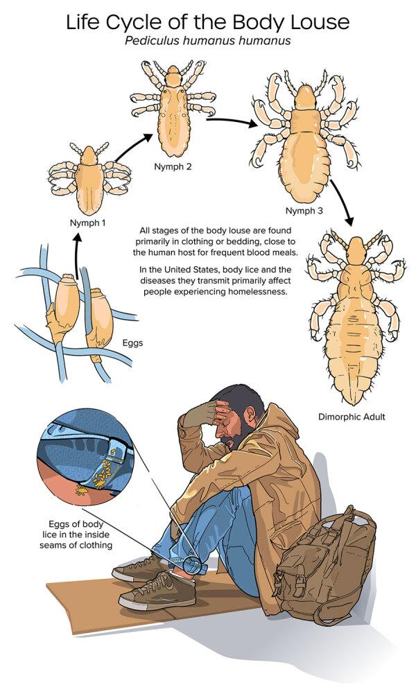 https://cdn.ncbi.nlm.nih.gov/pmc/blobs/69c9/11616630/c04b350d5f53/24-0389-F2.jpg