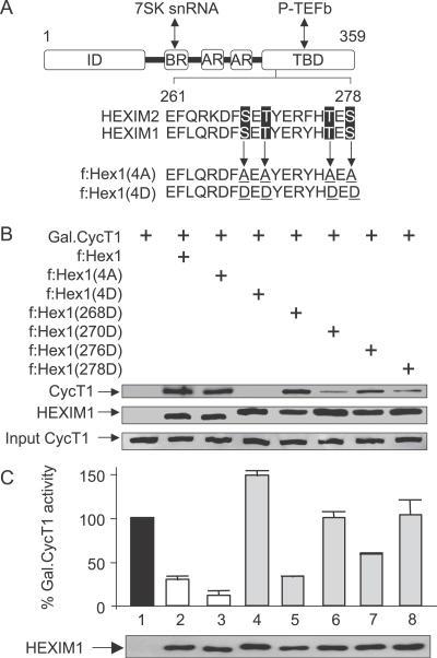 https://cdn.ncbi.nlm.nih.gov/pmc/blobs/69ca/2042012/bebcbf02297e/ppat.0030146.g005.jpg