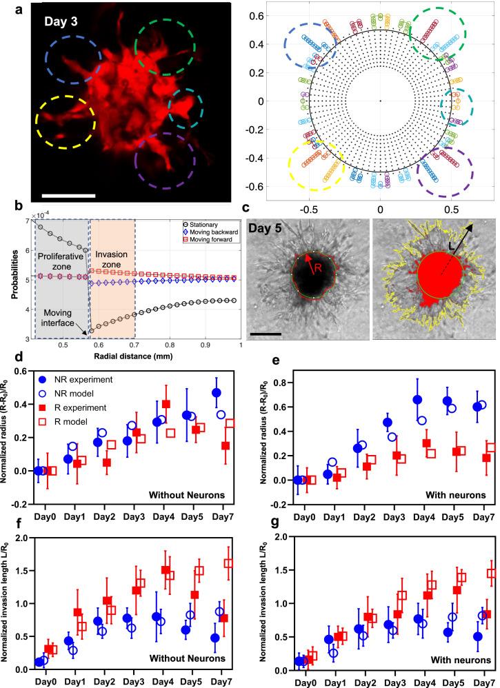 https://cdn.ncbi.nlm.nih.gov/pmc/blobs/69cb/11589919/d3ade4d1aaca/44172_2024_319_Fig8_HTML.jpg