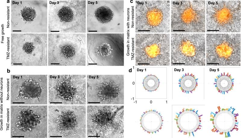 https://cdn.ncbi.nlm.nih.gov/pmc/blobs/69cb/11589919/fe348787ab0a/44172_2024_319_Fig7_HTML.jpg