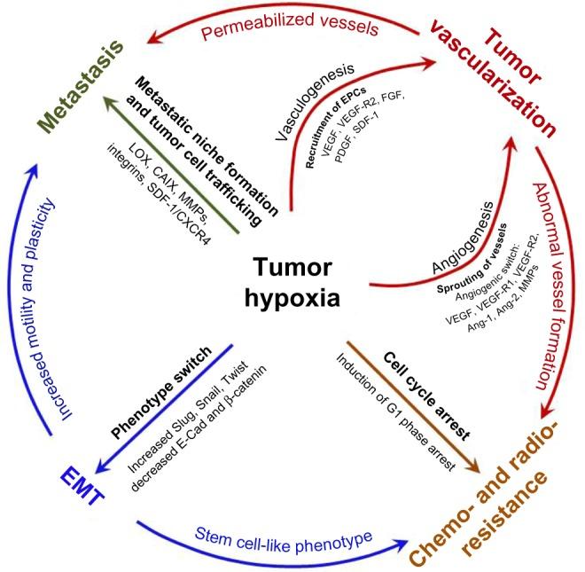 https://cdn.ncbi.nlm.nih.gov/pmc/blobs/69cb/5045092/1b8b6f88b3c1/hp-3-083Fig2.jpg