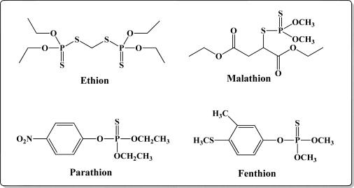 https://cdn.ncbi.nlm.nih.gov/pmc/blobs/69cd/3231149/e8c3f31fbaa7/sensors-10-07018f12.jpg