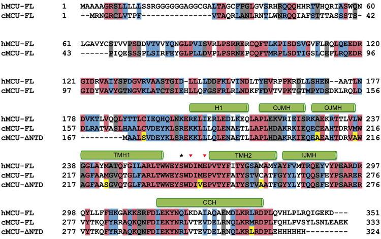 https://cdn.ncbi.nlm.nih.gov/pmc/blobs/69d0/4874835/beb52b7e2b87/nihms767129f1.jpg