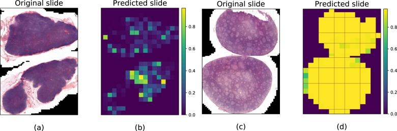 https://cdn.ncbi.nlm.nih.gov/pmc/blobs/69d0/7195401/50535d9f0a07/41746_2020_272_Fig3_HTML.jpg