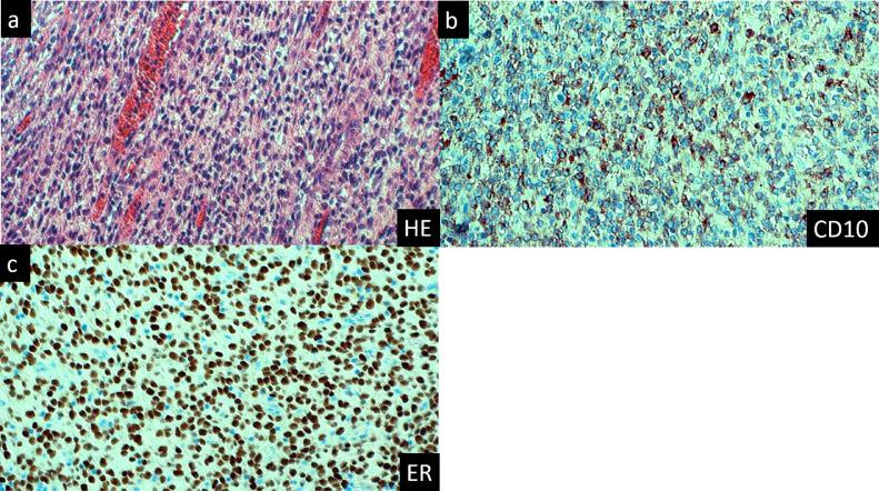 https://cdn.ncbi.nlm.nih.gov/pmc/blobs/69d1/8326572/9cd2261927d4/gr5.jpg