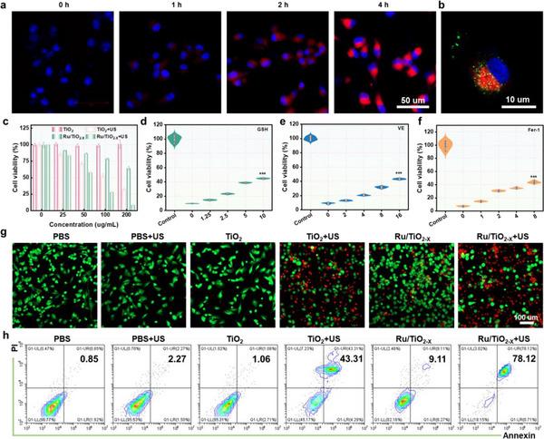 https://cdn.ncbi.nlm.nih.gov/pmc/blobs/69d2/12165091/addf97cdc598/ADVS-12-2416997-g010.jpg