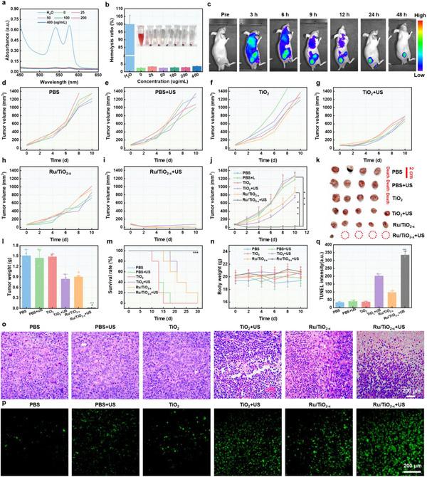 https://cdn.ncbi.nlm.nih.gov/pmc/blobs/69d2/12165091/f9fafa0ef128/ADVS-12-2416997-g001.jpg