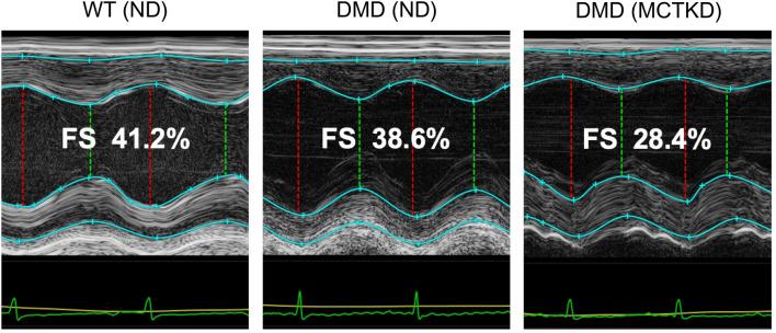 https://cdn.ncbi.nlm.nih.gov/pmc/blobs/69d2/9270409/9799d1c863ed/41598_2022_15934_Fig2_HTML.jpg